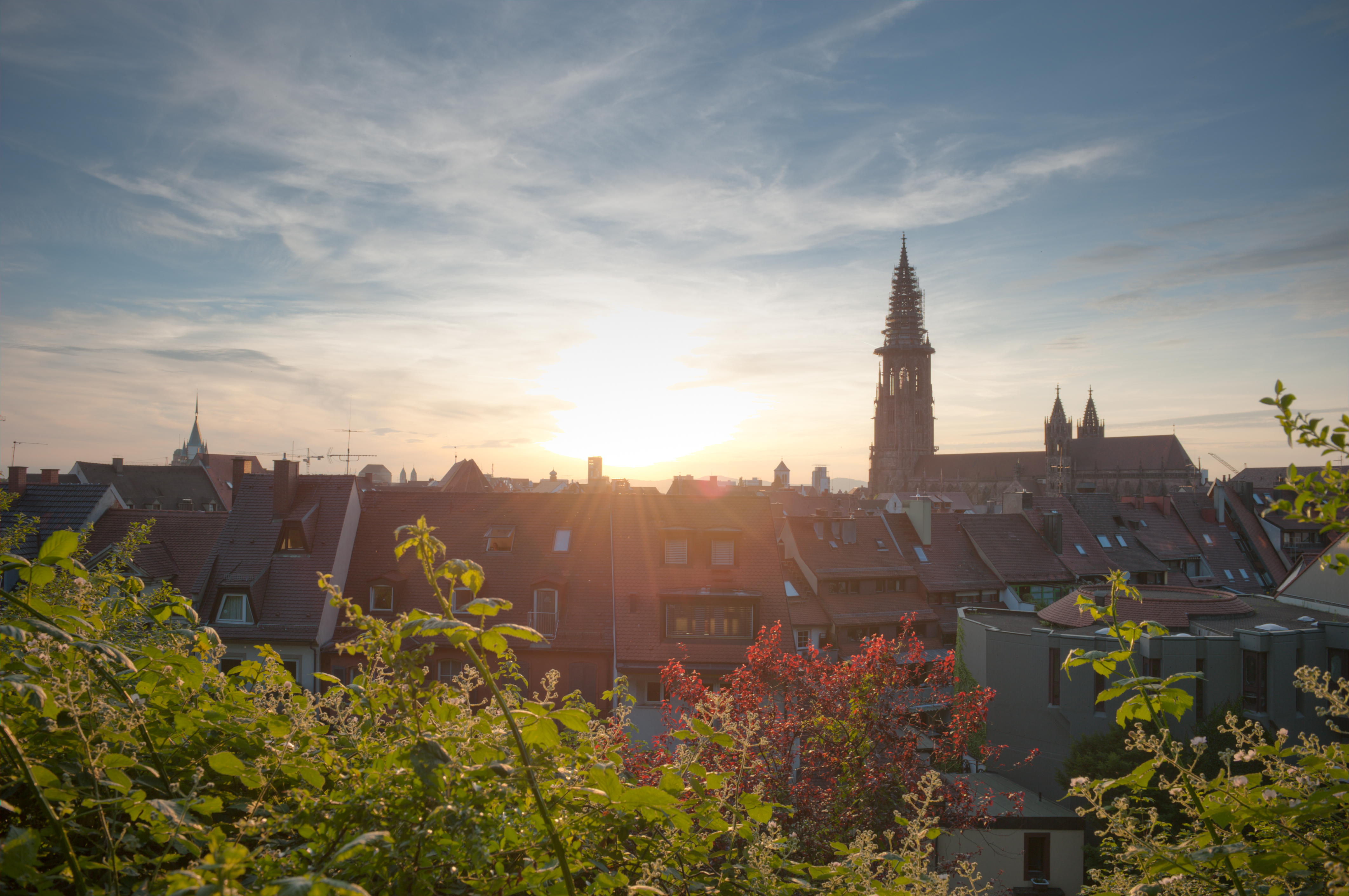 (c) Fdp-freiburg.de